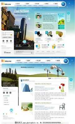 房地产建设公司网站版面设计与图片策略